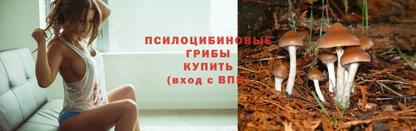 шишки Алзамай