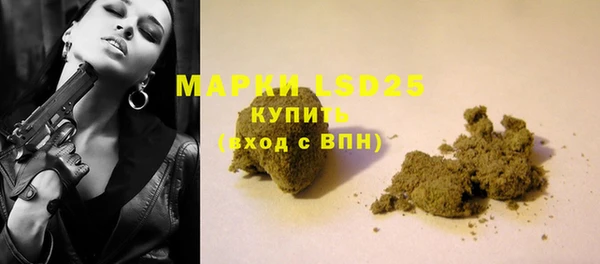 шишки Алзамай