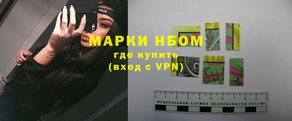 шишки Алзамай