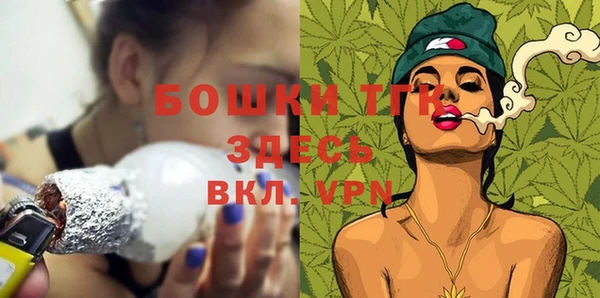 шишки Алзамай