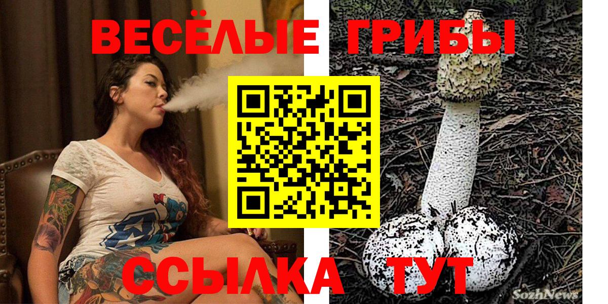 Псилоцибиновые грибы мухоморы Чапаевск