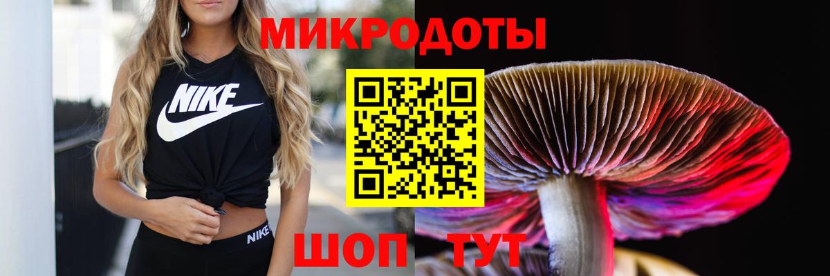 Чапаевск  Галлюциногенные грибы Psilocybine cubensis  Вход с VPN 